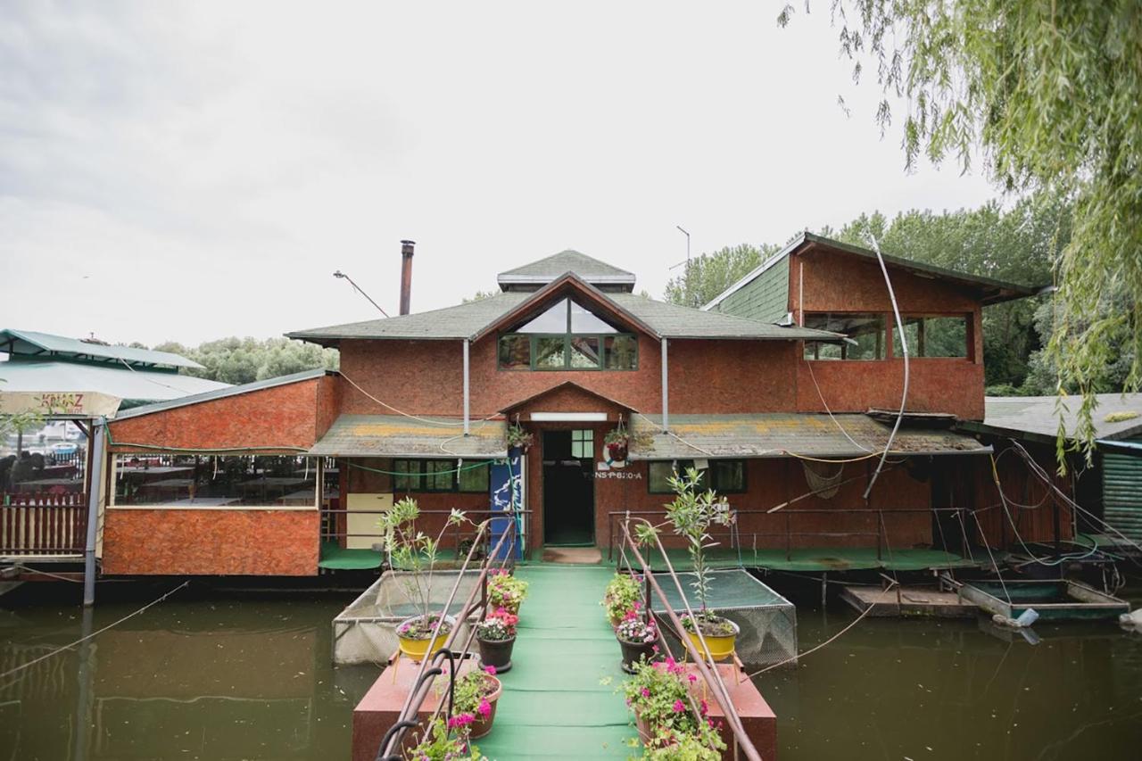 Pool And Villa Splav Dunavac Futog エクステリア 写真