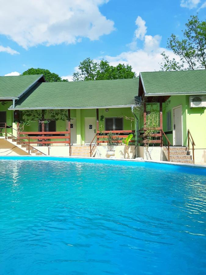 Pool And Villa Splav Dunavac Futog エクステリア 写真